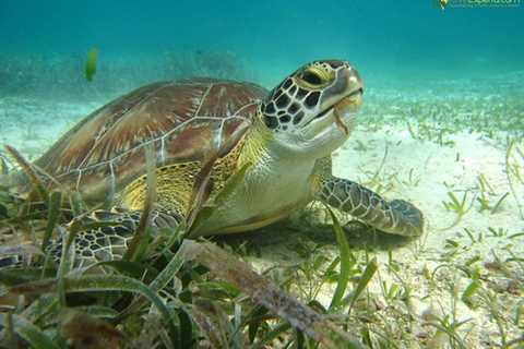 7 Family Friendly Top Activities To Do In Belize