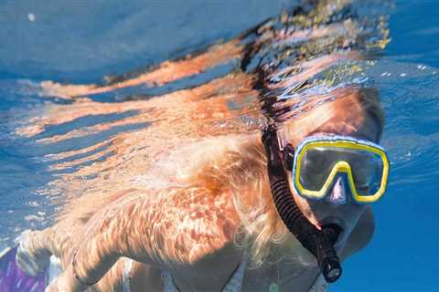 Exploring the Best Places to Go Snorkeling in Panama City Beach, Florida