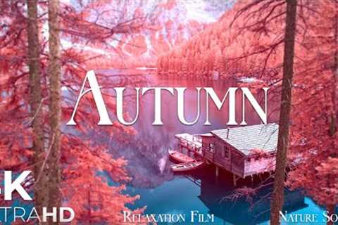 Autumn Melodies - Relaxation Film 4K - Peaceful Relaxing Music - Nature 4k Video UltraHD