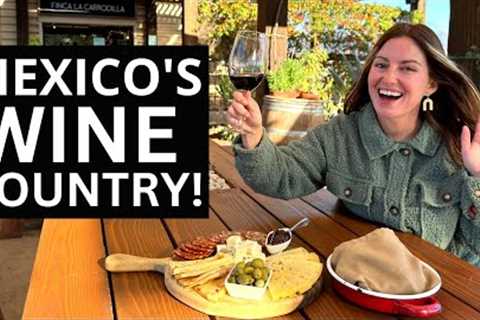 Exploring The Napa Valley of Mexico! (Valle de Guadalupe, Baja California)