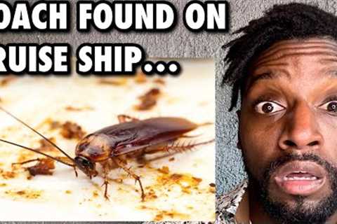 Cockroach On Carnival Cruise ￼Ship