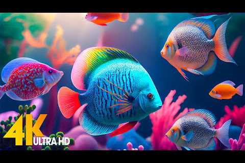 Aquarium 4K VIDEO (ULTRA HD) - Beautiful Coral Reef Fish - Sleep Relaxing Meditation Music