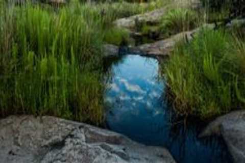 Exploring Preserved Areas, Parks, Gardens and Natural Sites