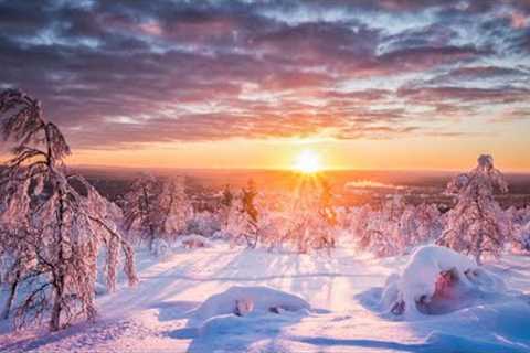 Enchanted Frost: Tales from a Winter Wonderland