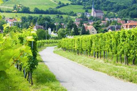 9 Secret Things to Know About Renting Out an Automobile in France