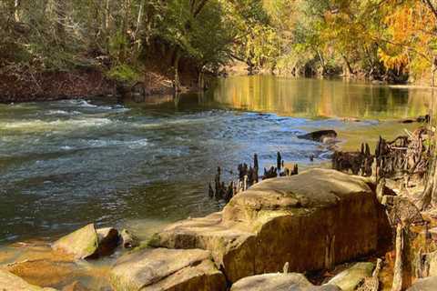 Discover the Northeastern Mississippi Museum Association