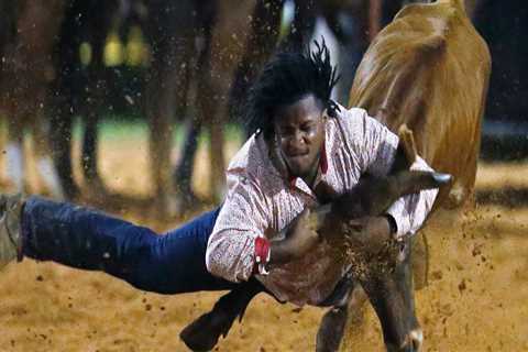 Experience the Thrill of Oklahoma Rodeo Festivals