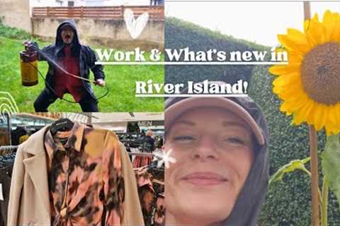 Dog Poo Fairy DITL &amp; What''s new in River Island! GORGEOUS! 😲