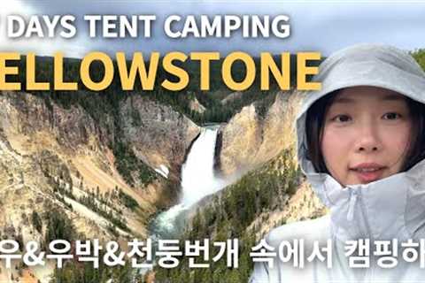 [4K|SUB] Tent Camping at Yellostone National Park | Madison,Canyon,Grant Campground | Alpha Breeze
