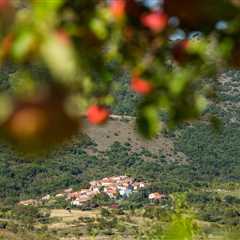 Rewilding Europe Capital looks to amplify rewilding through increased funding