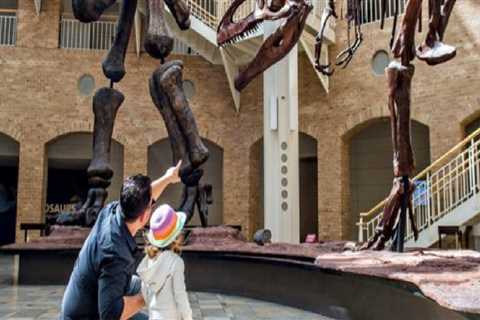 Discover the Interactive Exhibits at Mississippi Museums