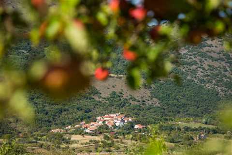 Rewilding Europe Capital looks to amplify rewilding through increased funding