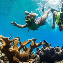 Snorkeling in Panama City Beach: An Expert's Guide