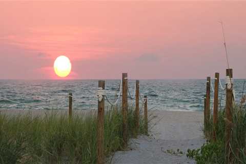 Exploring Lee County, Florida: Fun Activities for Kids and Teens