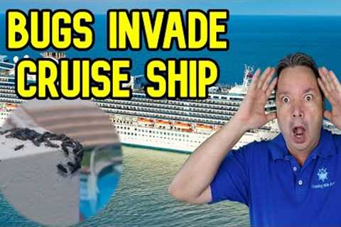 CRUISE NEWS  - CRUISE SHIP INFESTED WITH BUGS