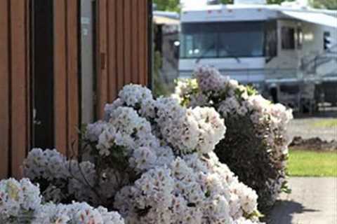 Standard post published to Silver Spur RV Park at November 16, 2023 20:00