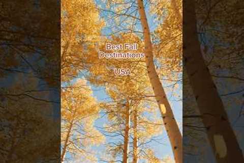 Best fall destinations in USA #shorts #falldestinations