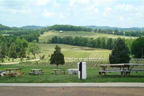 Exploring The Charm Of Williamson County, Tennessee: Must-Visit Tourist Attractions