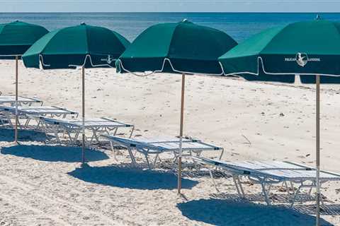Discover Exciting Events in Lee County, Florida