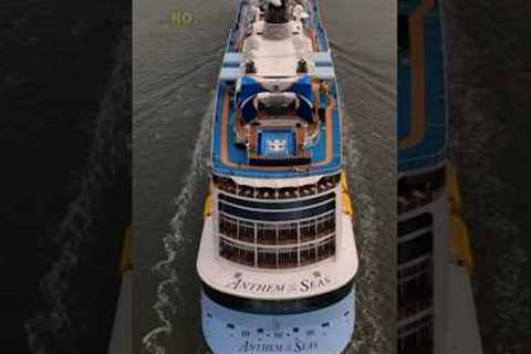 My TOP 5 NEW cruise ships to sail in 2024!😍👀✅