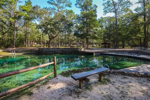 The Best Florida Springs for Swimming, Snorkeling, and Tubing