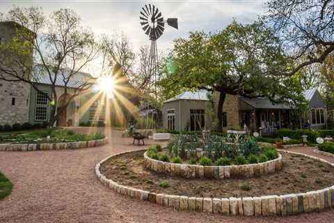 Exploring Windy Hill Farm: A Hidden Gem in Texas