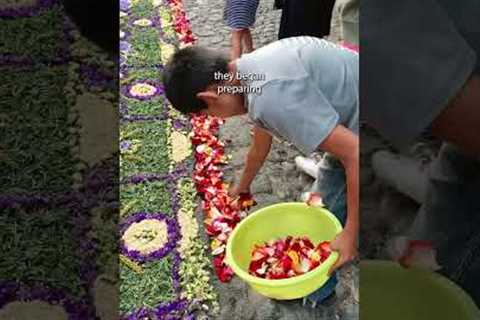 Flower carpets in every street across the whole city! #travelvlog #semanasanta #guatemala