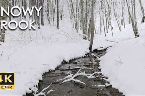 4K HDR Snowy Brook - Relaxing River Sounds - Peaceful Snow &amp; Forest Stream - Flowing Water..