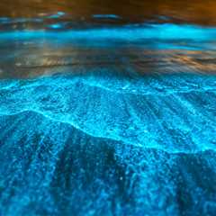 The 7 Best Bioluminescent Diving Destinations to See the Glowing (and Mysterious) Underwater World