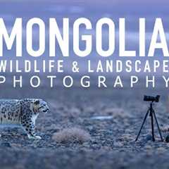 Photographing Snow Leopards &amp; Landscapes in Mongolia