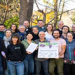 Leading organisations join forces to scale up practical rewilding across Europe
