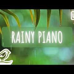 Rainy Piano Radio 🌧️ Relaxing Music with Rain Sounds 24/7