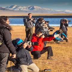 Mongolian Adventure Photography: Capturing the Wild Beauty