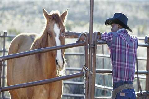 Expert Tips: How to Save Money on Tourist Attractions in Katy, Texas