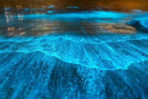 The 7 Best Bioluminescent Diving Destinations to See the Glowing (and Mysterious) Underwater World