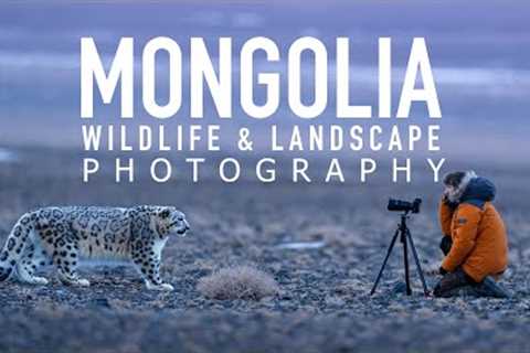 Photographing Snow Leopards &amp; Landscapes in Mongolia