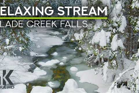 8 HRS Winter Ambience - Birds Chirping &amp; Gentle Forest Stream Sounds - Nature Soundscape