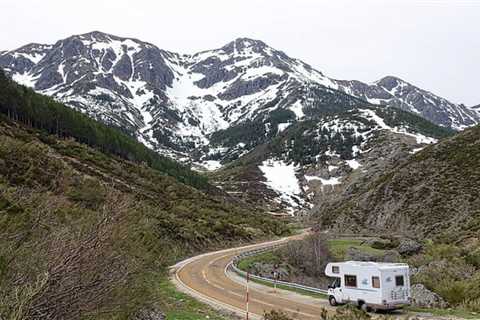 6 Essential Tips for Biking With Pets on Your Next RV Trip