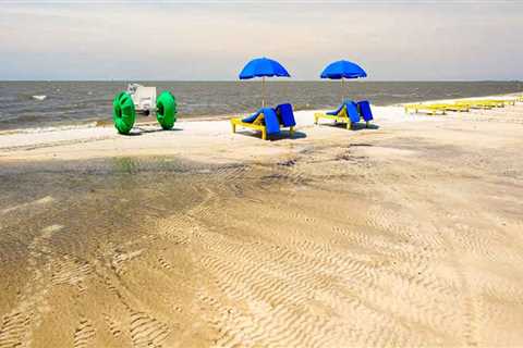 Discovering Educational Exhibits and Demonstrations at the Mississippi Gulf Coast Fair