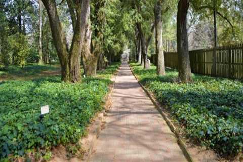 Discovering the Enchanting City of Aiken, South Carolina