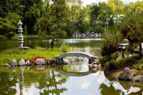 Exploring the Best Activities and Attractions near Vacation Rentals in Buffalo, NY