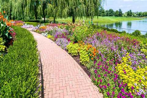 Discovering the Hidden Gems of Aiken: A Guide to the Botanical Garden and Arboretum