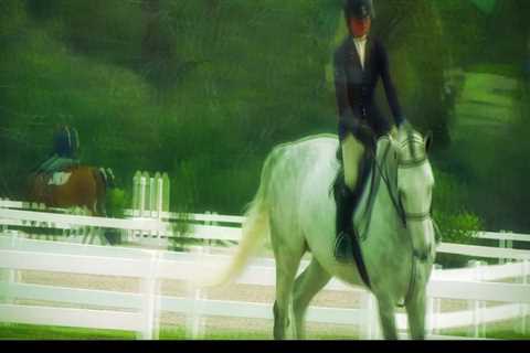 Exploring the Best Horseback Riding Trails in Harrison County, Mississippi