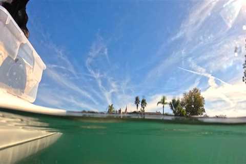 The Ultimate Guide to Exploring Manatee County, FL