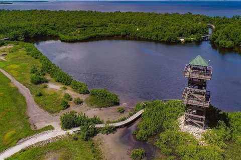 Discovering the Aquatic Adventures of Manatee County, FL