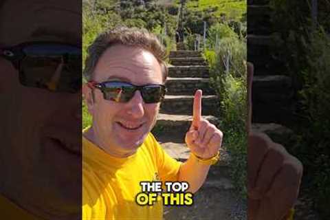 Totally worth the climb!  Culver City Stairs