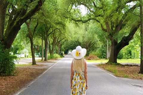 Discovering the Hidden Gems of Aiken, South Carolina: Wineries and Breweries