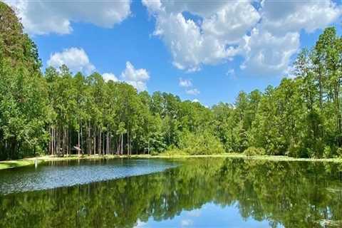 The Ultimate Guide to Exploring Aiken County Parks and Outdoor Activities