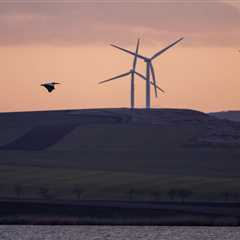Renewable energy needs landscape planning to safeguard nature recovery