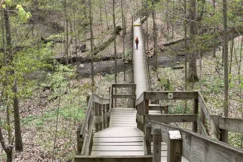 Exploring Nature Reserves and Parks in Delaware, Ohio for Kids: A Family Adventure